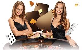 stake casino